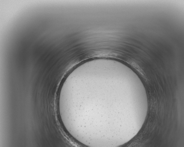 X0000059820848200510281729