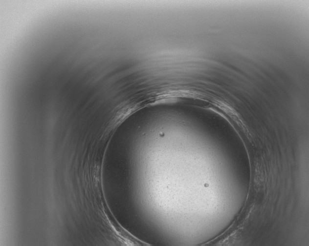 X0000059820849200510281729