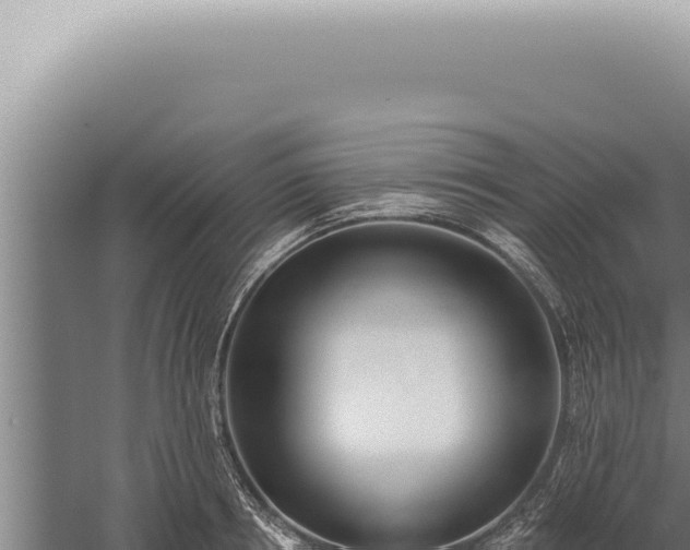 X0000059820850200510281729