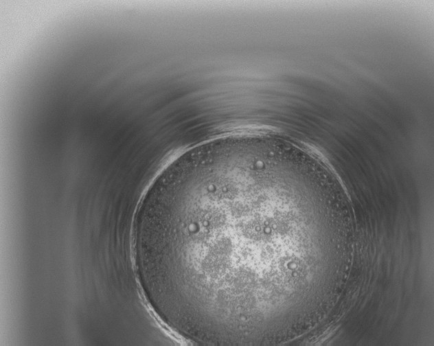 X0000059820851200510281729