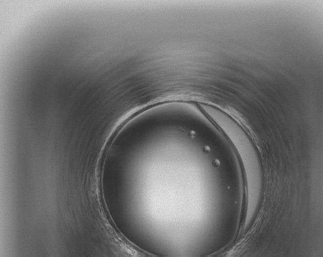 X0000059820854200510281730