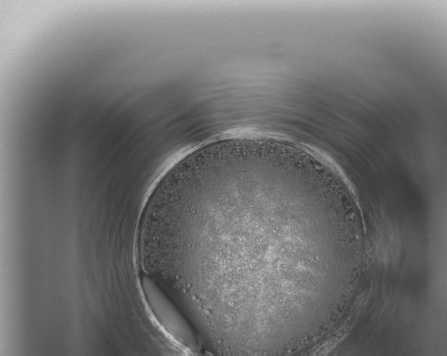 X0000059820855200510281730