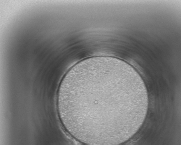 X0000059820856200510281730