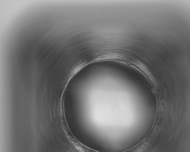 X0000059820858200510281730