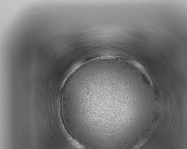 X0000059820859200510281730