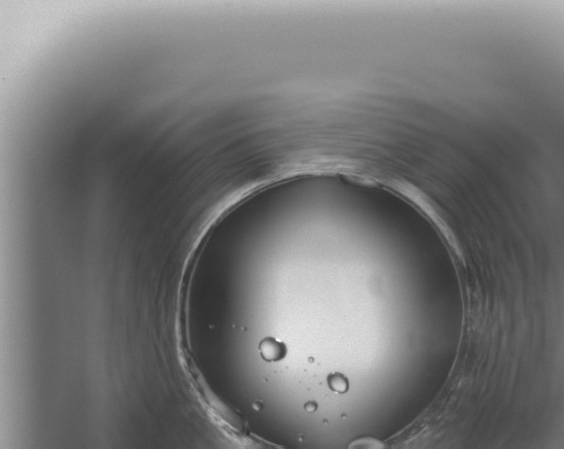 X0000059820861200510281730