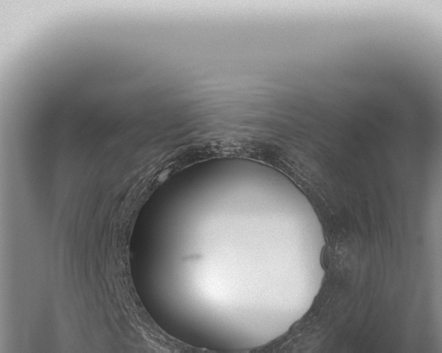 X0000059820865200510281729