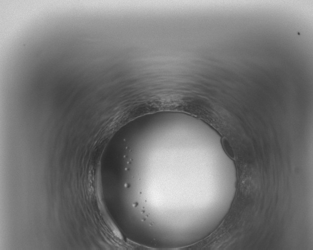 X0000059820866200510281729