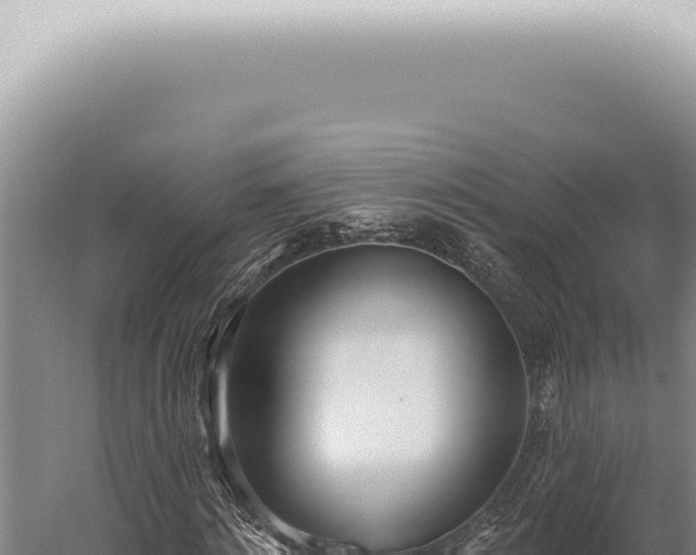 X0000059820868200510281729