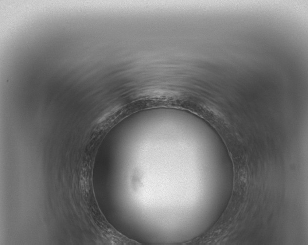 X0000059820869200510281729