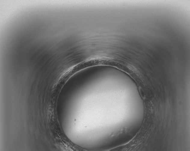 X0000059820872200510281729