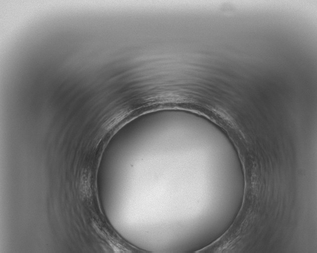 X0000059820873200510281729