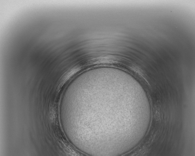 X0000059820874200510281729