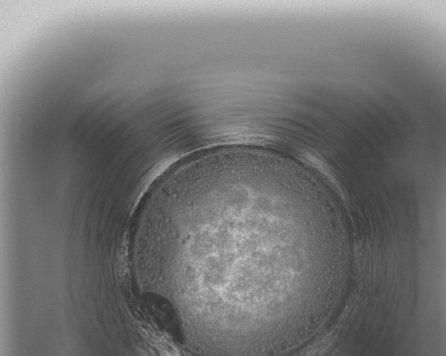 X0000059820875200510281729