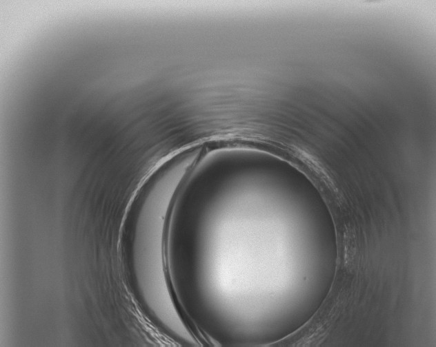 X0000059820876200510281729