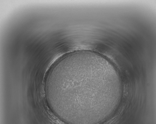 X0000059820878200510281729