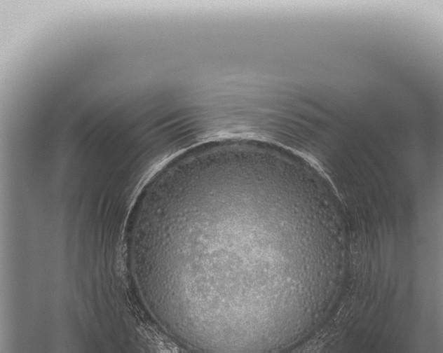 X0000059820879200510281729