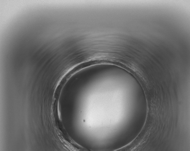 X0000059820880200510281729