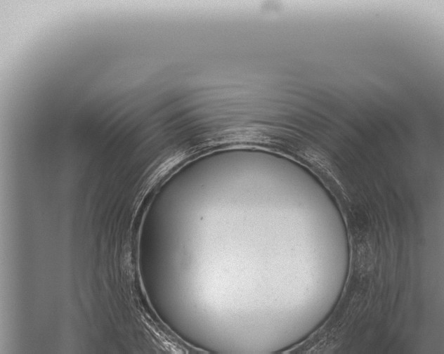 X0000059820882200510281729