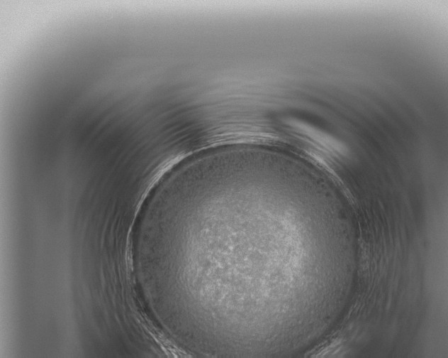 X0000059820883200510281729