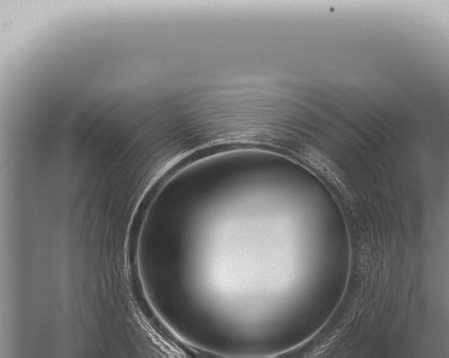 X0000059820884200510281729