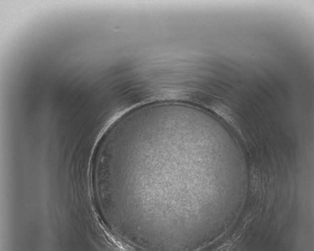 X0000059820886200510281729