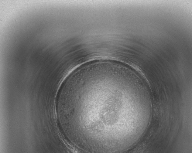 X0000059820887200510281728