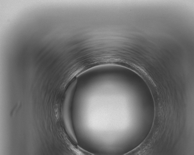 X0000059820889200510281728