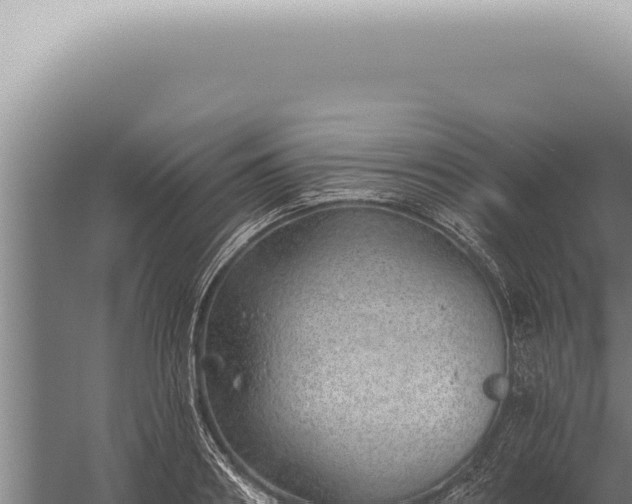 X0000059820890200510281728