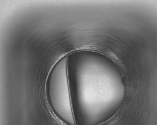 X0000059820892200510281728