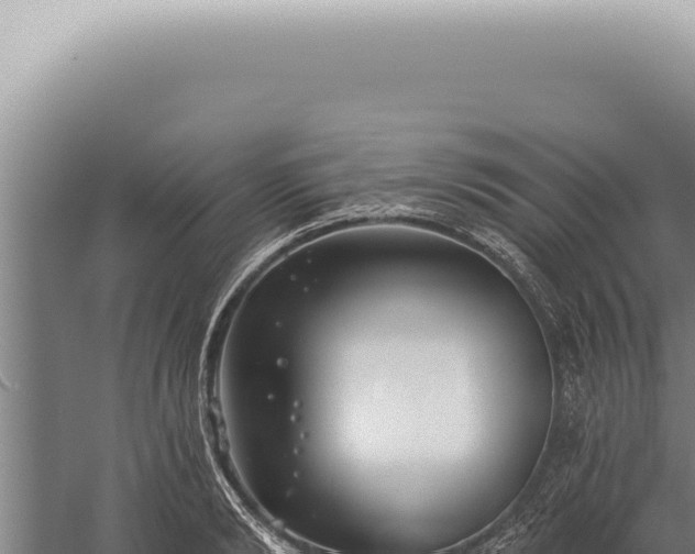 X0000059820894200510281728