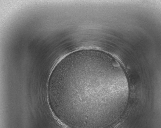 X0000059820895200510281728