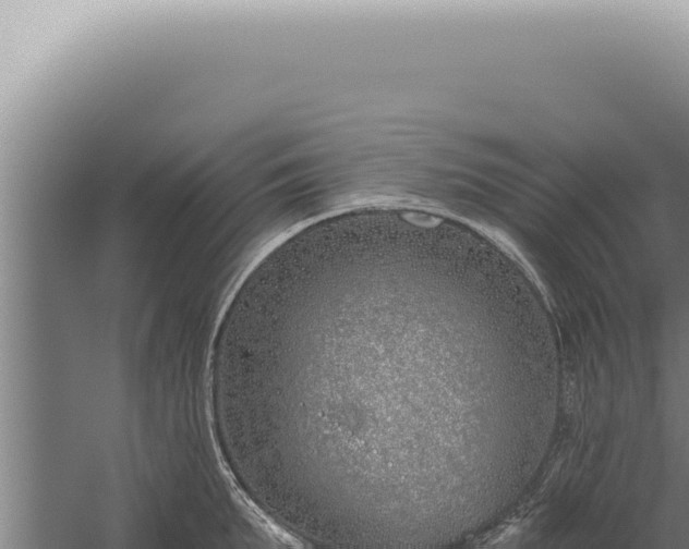 X0000059820903200510281728