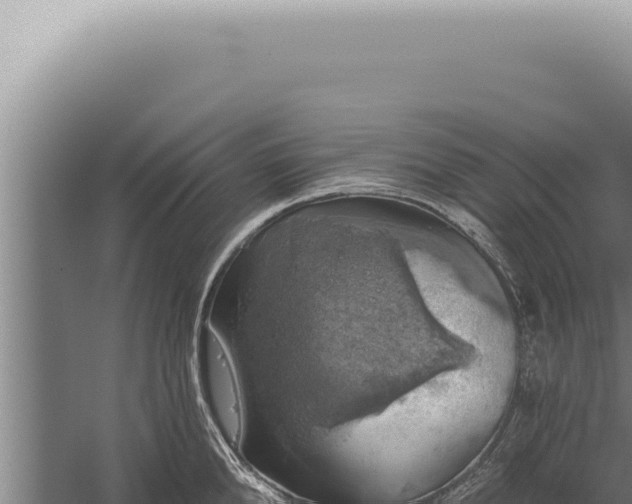 X0000059820904200510281728