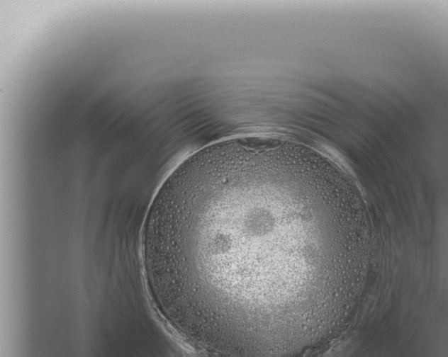 X0000059820907200510281728