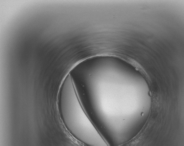 X0000059820908200510281728