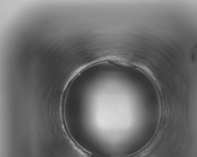 X0000059820910200510281728