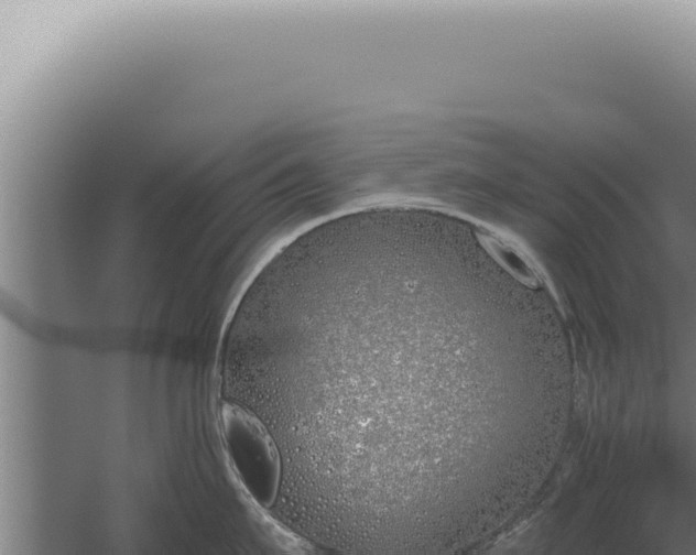 X0000059820911200510281728