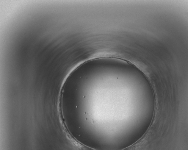 X0000059820912200510281728