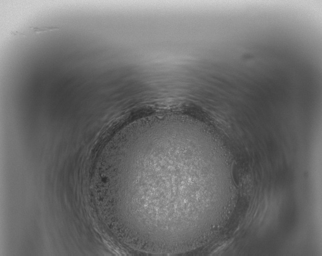 X0000059820913200510281727