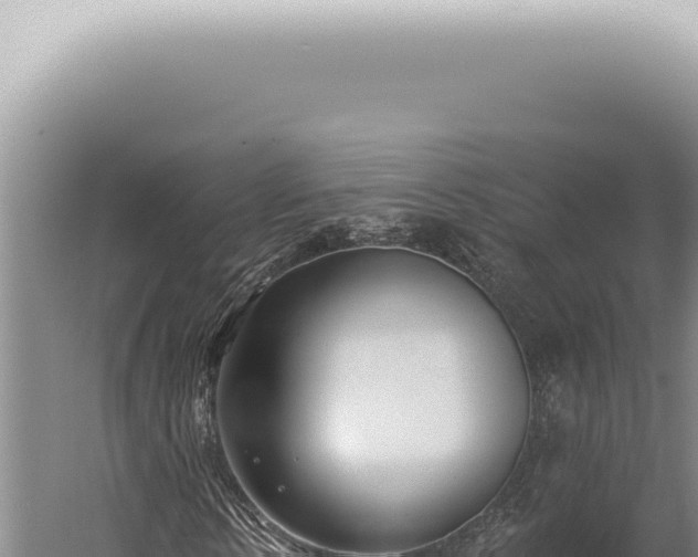 X0000059820914200510281727