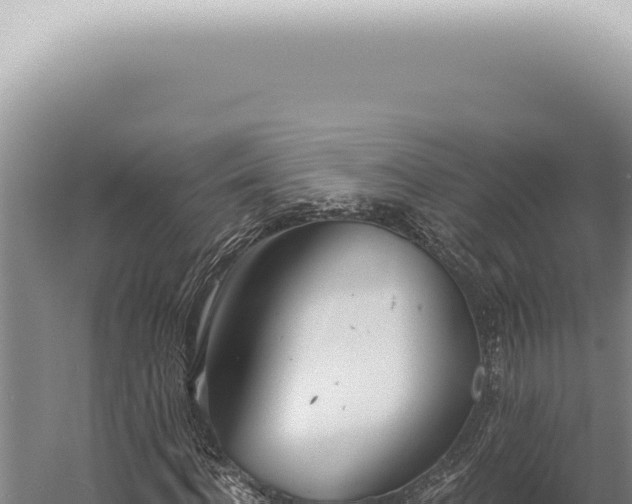 X0000059820916200510281727