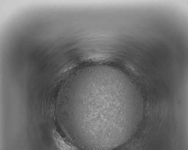 X0000059820917200510281727