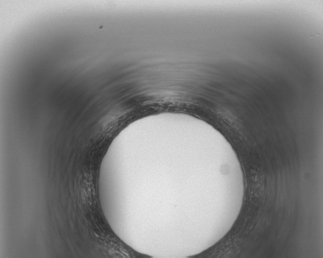 X0000059820918200510281727