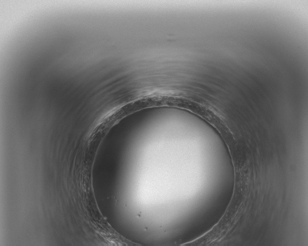 X0000059820919200510281727