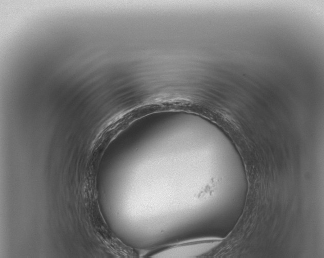 X0000059820920200510281727