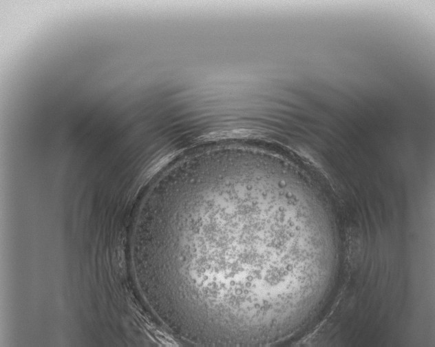 X0000059820921200510281727