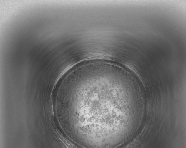 X0000059820925200510281727