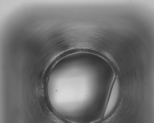 X0000059820926200510281727