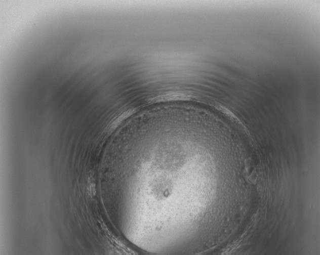 X0000059820929200510281728